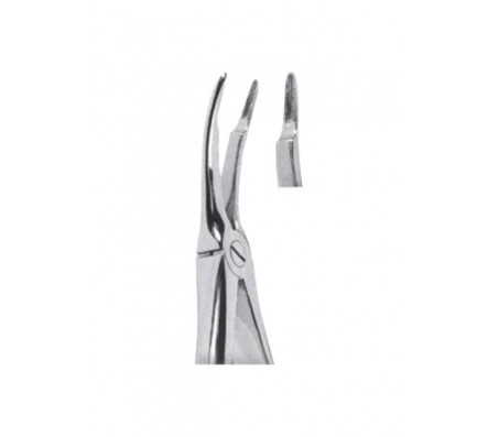 Extracting Forceps